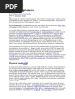 Download Gel Electrophoresis by Vishnu Reddy Vardhan Pulimi SN220404833 doc pdf