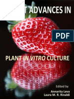 172545131 Plant Invitro