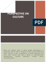 Perspective on Culture