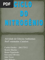 Ciclo Do Nitrogenio
