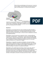 57357507 Bases Neurofisiologicas de Las Emociones