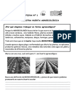 Ficha 1 Agroecologia