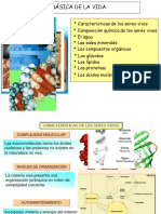 La Naturaleza Basica de La Vida