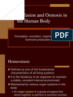 Diffusion and Osmosis in The Human Body