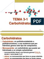 Tema 3-1 Carbihidratos