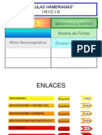 Tablas de Hamer Interact I Vas