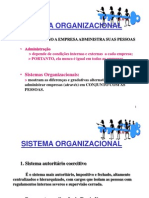 d - Sistemas Organizacionais