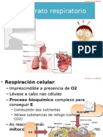 O Aparato Respiratorio, Por Xacobo de Toro