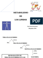 Metabolismo DE Los Lipidos: Prof: José Szwarcbort Bioquímica 2014