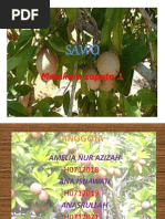 Download PRESENTASI SAWO by anaisnawati SN220480430 doc pdf