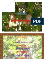 Download PRESENTASI SAWO by anaisnawati SN220480430 doc pdf