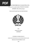 Download 12030654028_ENDANG L N _PETAI CINA dan JENGKOLdocx by EndaNg LutVia NingSih SN220483844 doc pdf