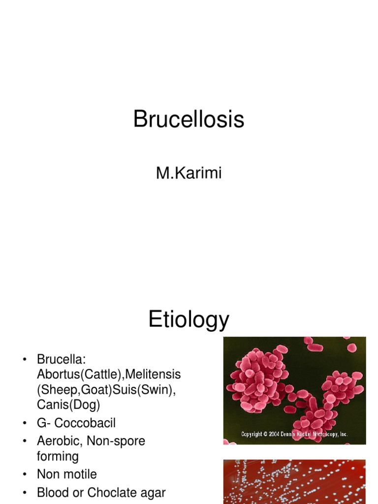 Brucellosis 2 PDF Salmonella Health Sciences