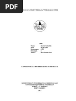 Download Peranan Auksin Terhadap Perakaran Stek by IlallangGurun SN220488892 doc pdf