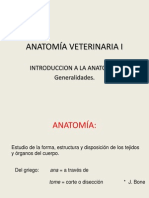 Anatomía Veterinaria 1