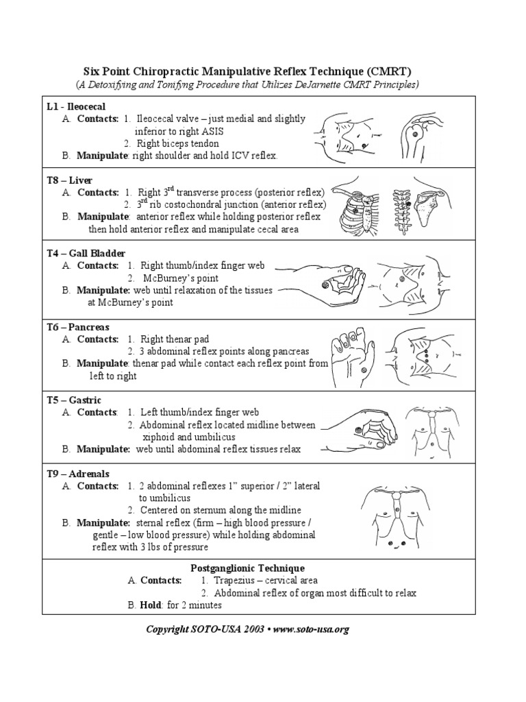Six+Point+Chiropractic+Manipulative+Reflex+Technique
