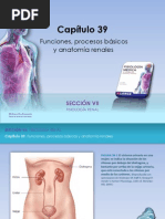 Raff Fisiologia Figuras c39 Func Renales