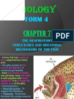 The Respiratory Structures and Breathing Mechanisms of The Fish