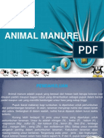 Animal Manure