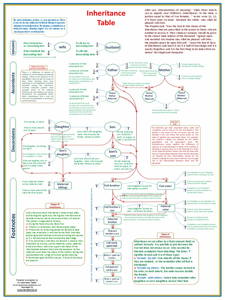 Islamic Inheritance Distribution Chart | PDF | Inheritance | Sibling