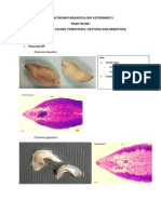 Penuntun Praktikum 1 Parasitologi Veteriner 2