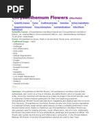 Download Chrysanthemum Flowers by ken SN22052843 doc pdf