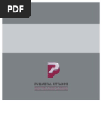 Download pulimetal-cittadini-catalogo by frankie_pulimetal SN22053536 doc pdf