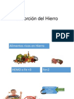 Absorción Del Hierro