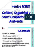 Fundamentos Hseq 2014-02-08