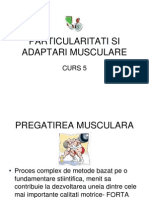 Musculatie Curs 5