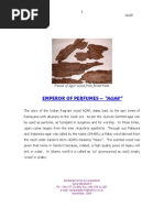 Download Story of AGAR by Nookala Raghu Ram SN22054709 doc pdf