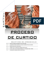 CAPÍTULO 7. Proceso de Curtiembre PDF