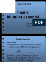 Fauna Muntilor Japoniei