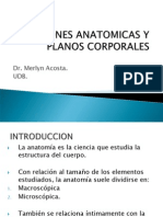 Posiciones Anatomicas y Planos Corporales