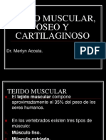 Tejido Muscular, Oseo y Cartilaginoso
