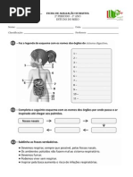 Ficha Estudo Do Meio 2per 3ano v.03