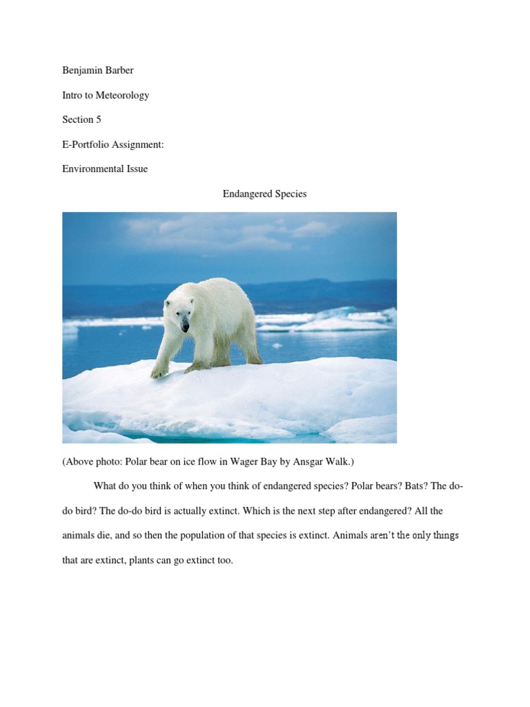 Impact of Humans on Endangered Species | PDF | Endangered Species ...