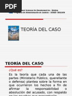 Teoría del caso con algunas cuestiones de teoría del delito