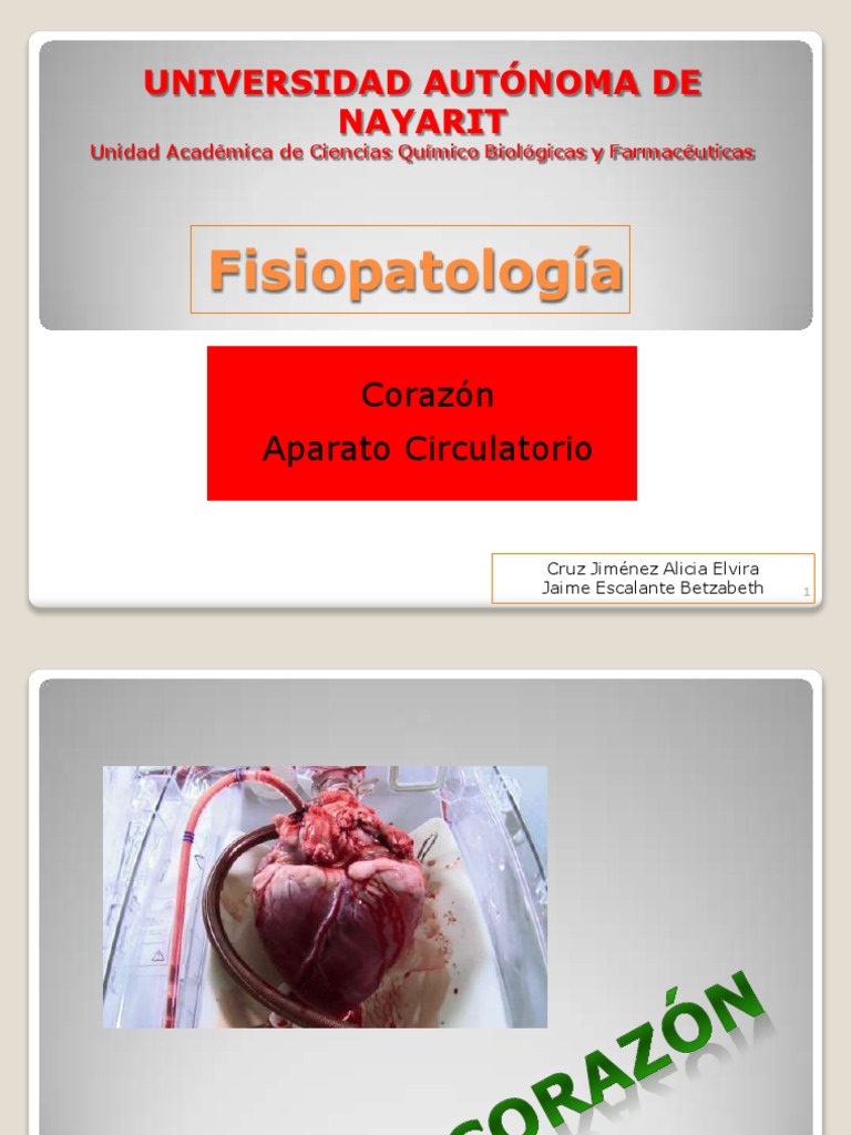 Guía Astrológica Para Corazones Rotos Pdf Gratis