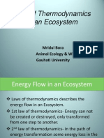 Laws of Thermodynamics in An Ecosystem