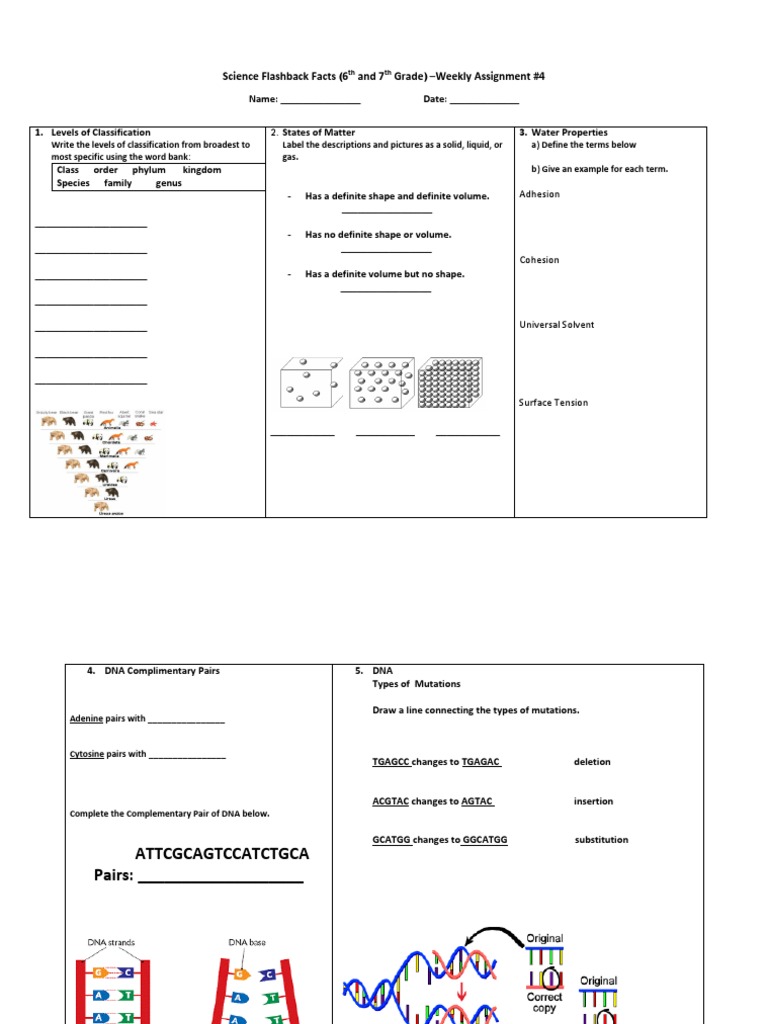 Science Flashback Facts (6 and 7 Grade) - Weekly Assignment #4 | PDF ...