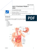 Apuntes BIO 04