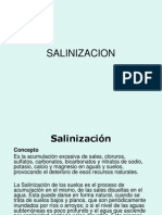 Salinizacion