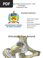 Ligamento Coxo Femoral