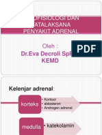 peny-adrenal-kuliah.pptx