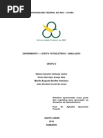 EN3717 Relatorio1Grupo5.PDF