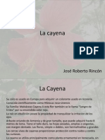 La Cayena