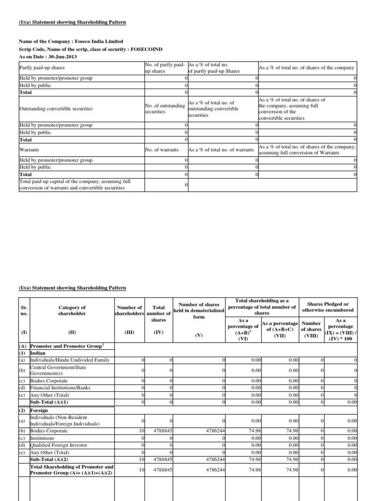 (I) (A) Statement Showing Shareholding Pattern PDF American