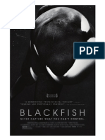 Blackfish Script