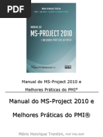 Ms Project 2010 PMI